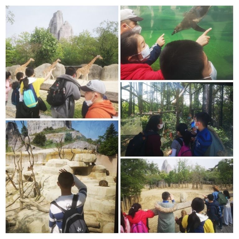 29/04: Sortie au zoo de Vincennes