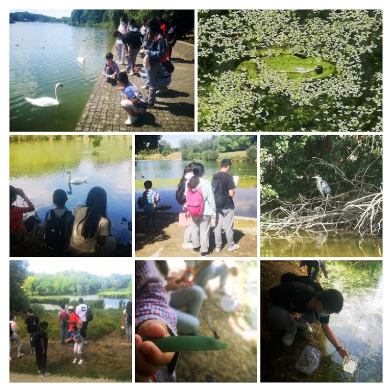 Jeu de Piste avec la MPT Youri Gagarine sur le thème de la biodiversité et les écosystèmes au Parc Georges Valbon à La Courneuve