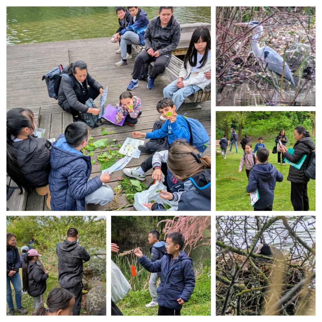 A la découverte de la faune et de la flore au Parc Georges Valbon