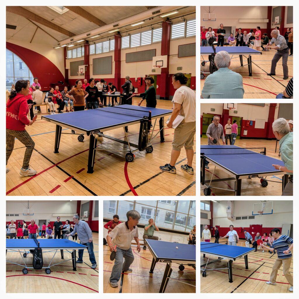 7 et 14 juin 2025: Tournoi sénior de ping-pong au gymnase Michel Le Comte
