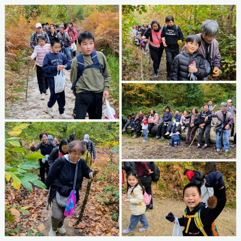 20251023_091931-COLLAGE~2