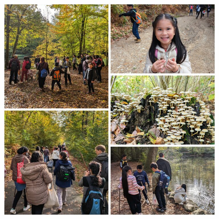 20251023_092851-COLLAGE