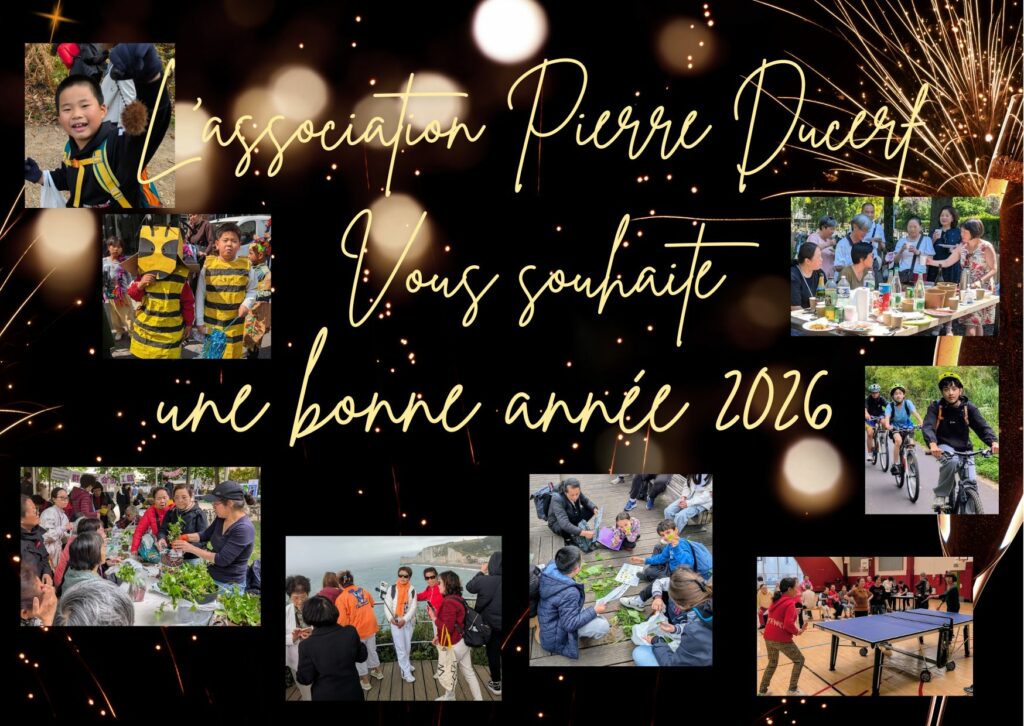 Bonne année 2026 avant l'arrivée du cheval de feu !