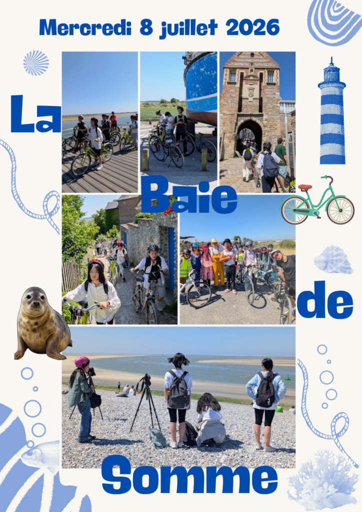 Le 8 juillet: 13 jeunes de 12 à 18 ans ont participé à une randonnée vélo dans la baie de Somme. Le groupe a parcouru 36 km de Noyelles-sur-Mer à la pointe du Hourdel, en passant par la cité médiévale de Saint-Valéry-sur-Somme. Et les jeunes ont, comme promis, pu découvrir les fameuses colonies  de phoques gris et veau-marins, de la baie !